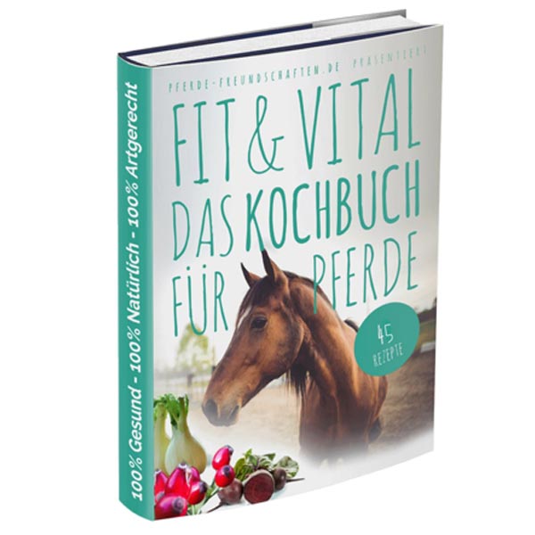 Kochbuch-Pferde